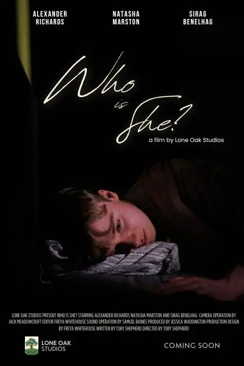 Постер до фільму "Who is She?"