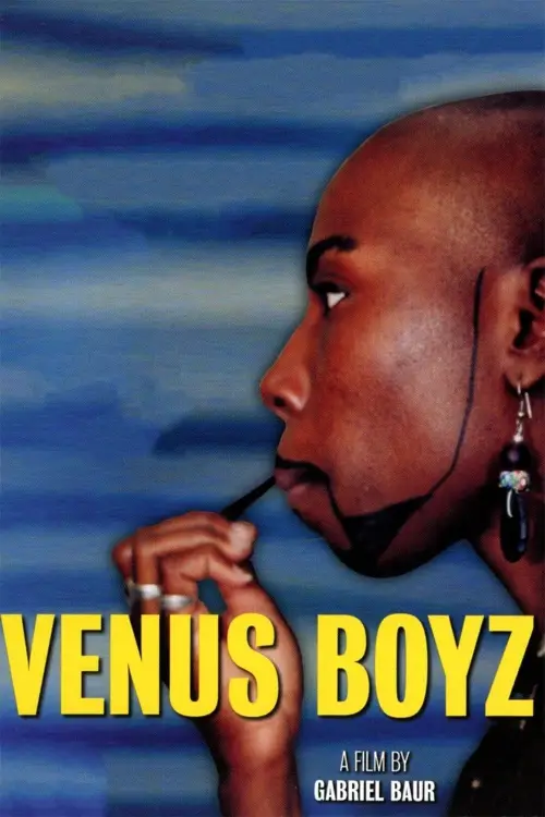 Постер до фільму "Venus Boyz"