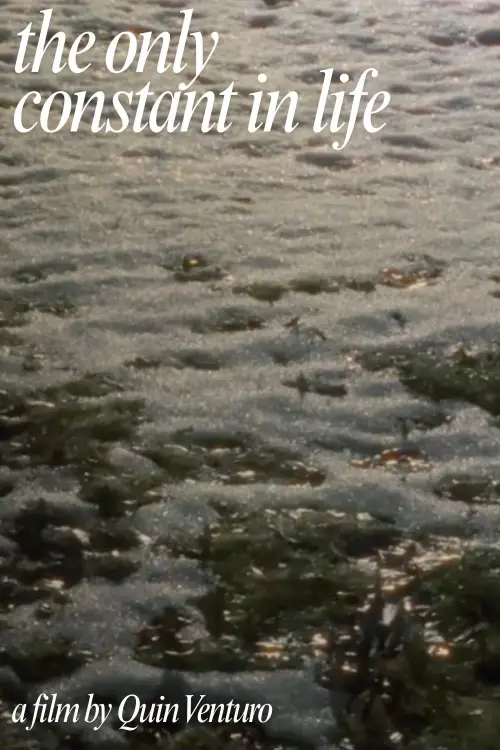 Постер до фільму "The Only Constant In Life"