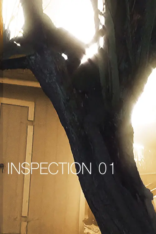 Постер до фільму "Inspection 01"