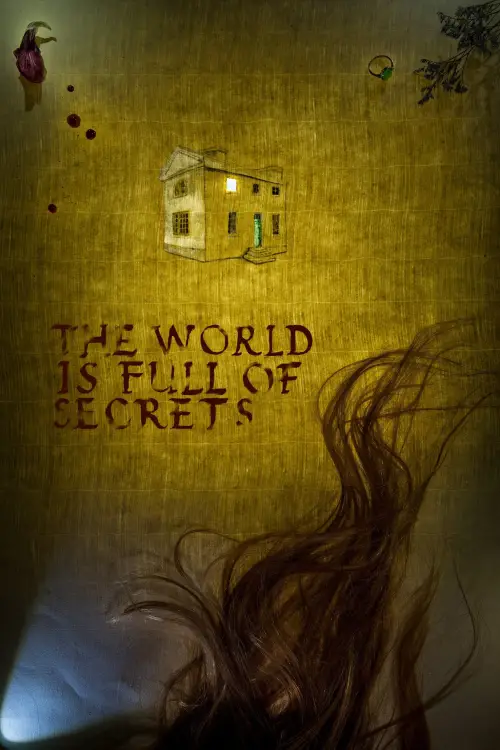 Постер до фільму "The World Is Full of Secrets"