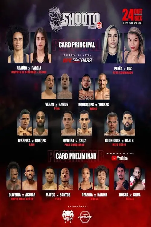 Постер до фільму "Shooto Brasil 133"