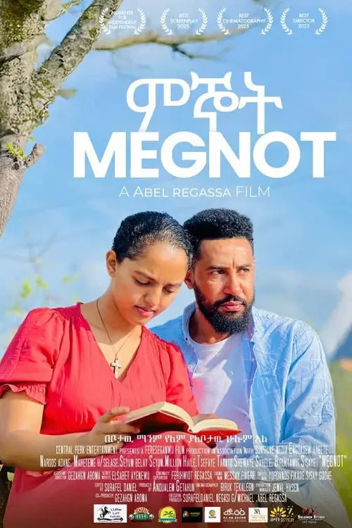 Постер до фільму "Megnot"