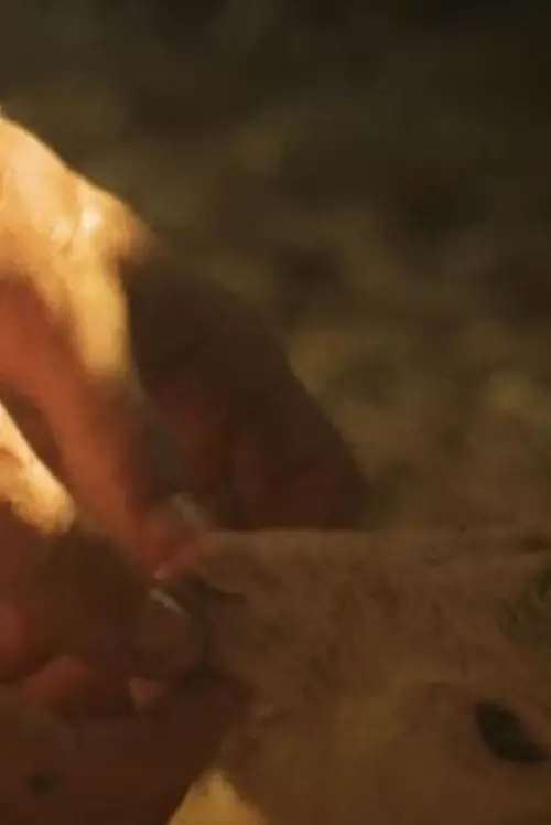 Постер до фільму "First Milk"