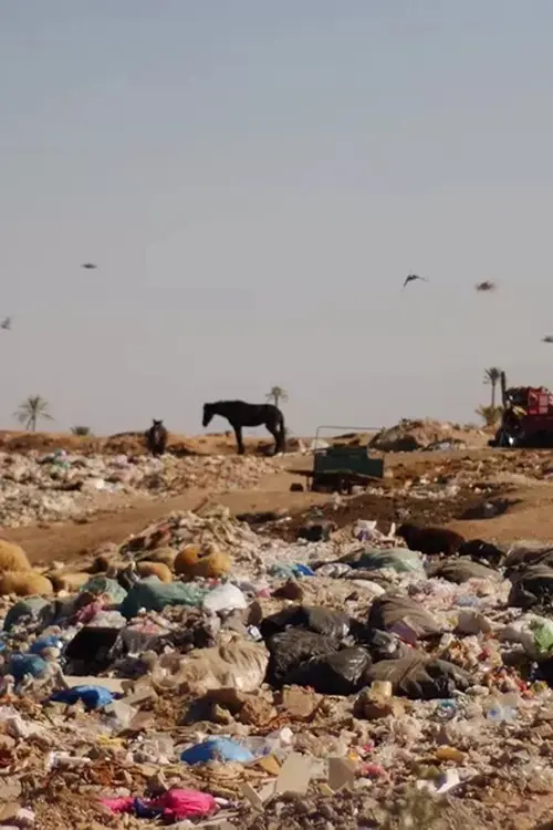 Постер до фільму "The Danger That Saves"