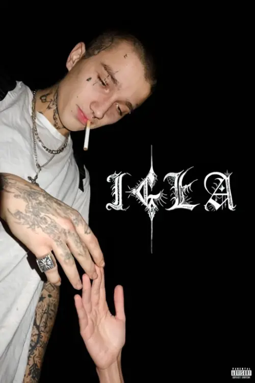 Постер до фільму "Needle"