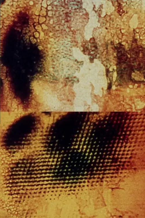 Постер до фільму "Aftermath"