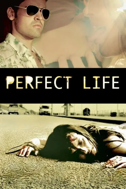 Постер до фільму "Perfect Life"