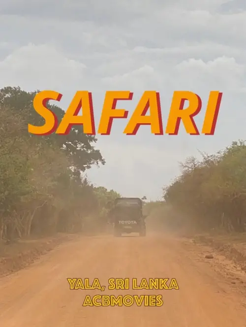 Постер до фільму "Safari"