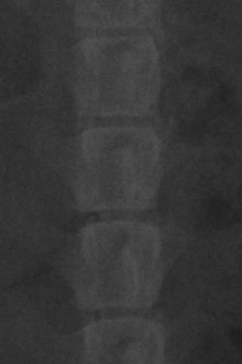 Постер до фільму "CIUDAD DE LA PAZ."