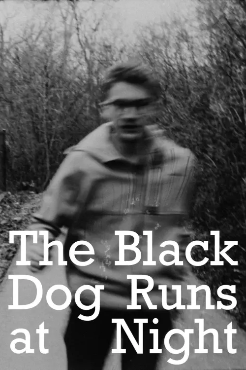 Постер до фільму "The Black Dog Runs At Night"
