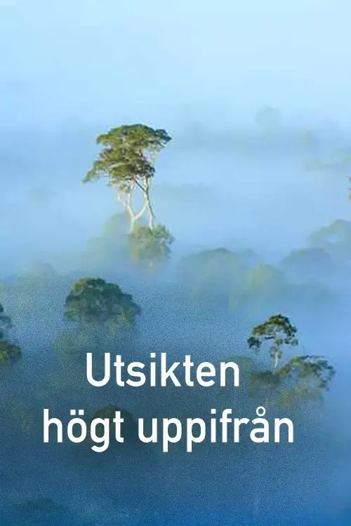 Постер до фільму "The View From on High"