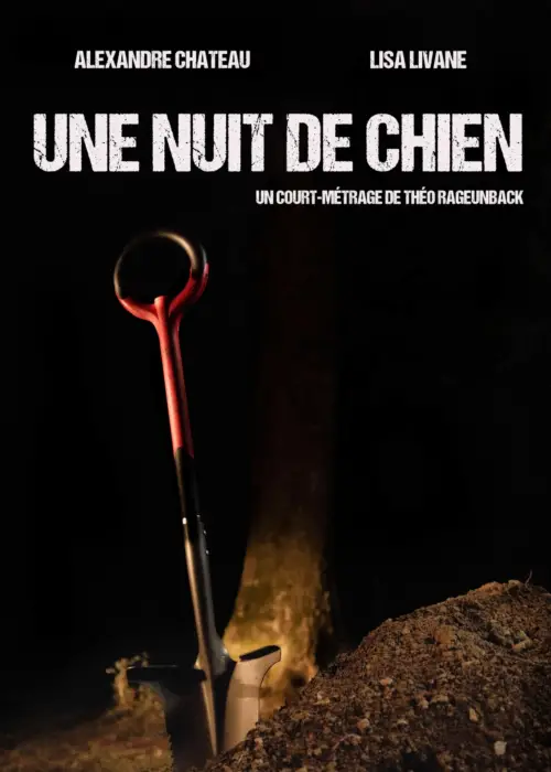 Постер до фільму "Une nuit de chien"