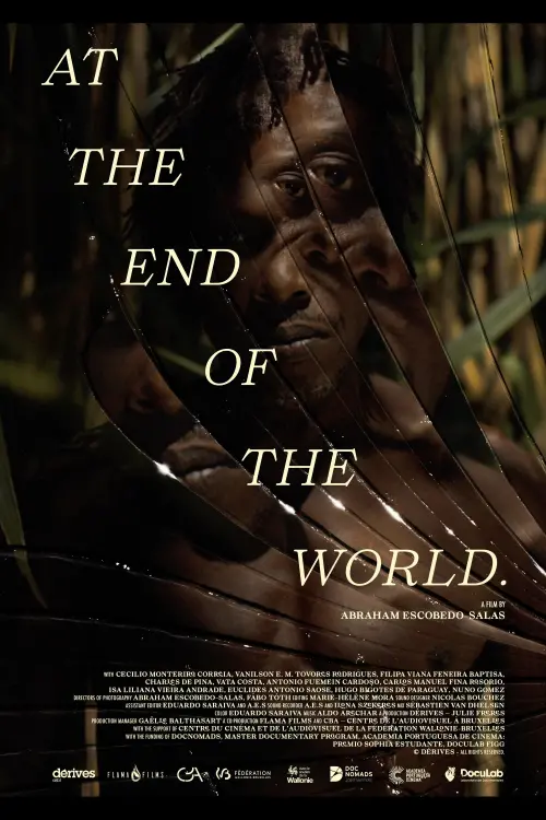 Постер до фільму "At the End Of The World"