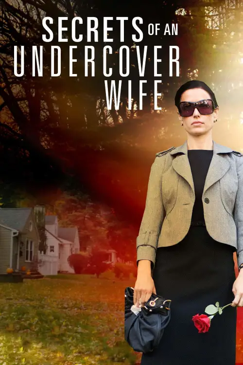 Постер до фільму "Secrets of an Undercover Wife"