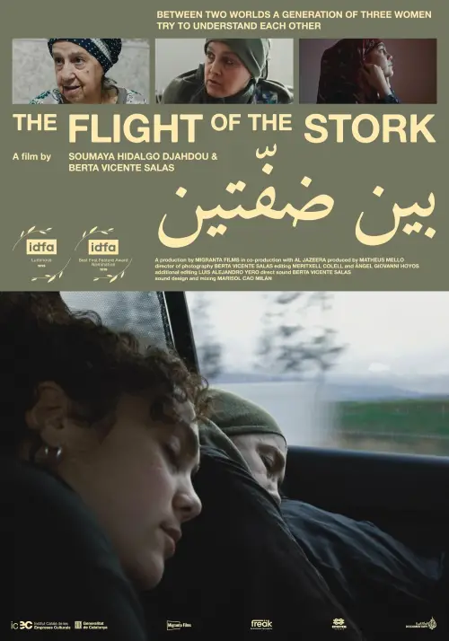 Постер до фільму "The Flight of the Stork"