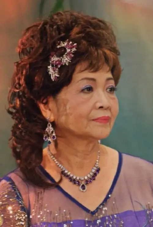 Постер до фільму "My Happy Mom, And Her Chinese Opera"