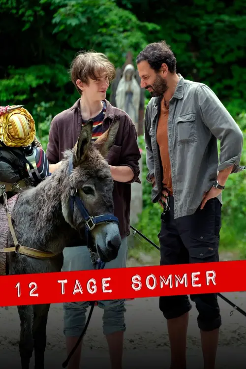 Постер до фільму "12 Tage Sommer"
