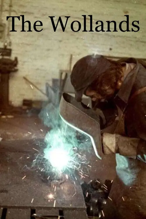 Постер до фільму "The Wollands"