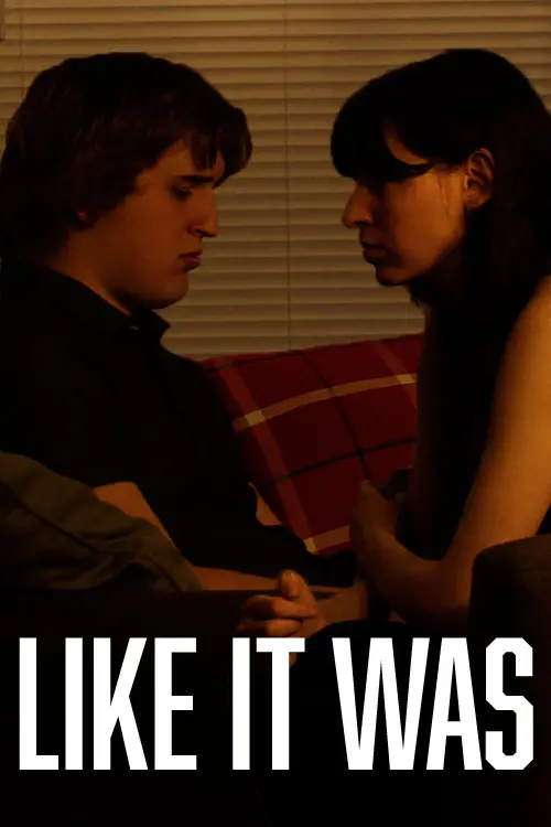 Постер до фільму "Like It Was"