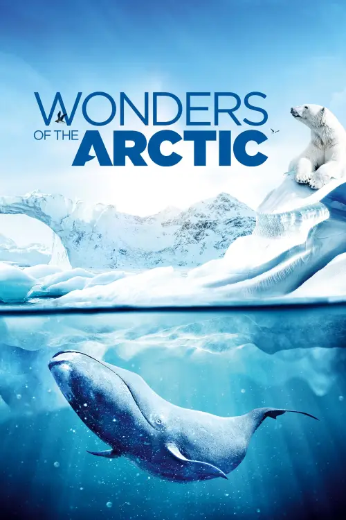 Постер до фільму "Wonders of the Arctic"