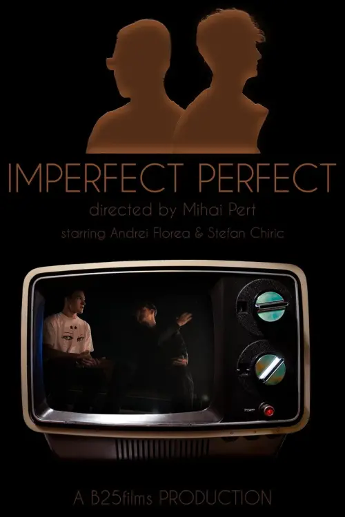 Постер до фільму "Imperfectly Perfect"