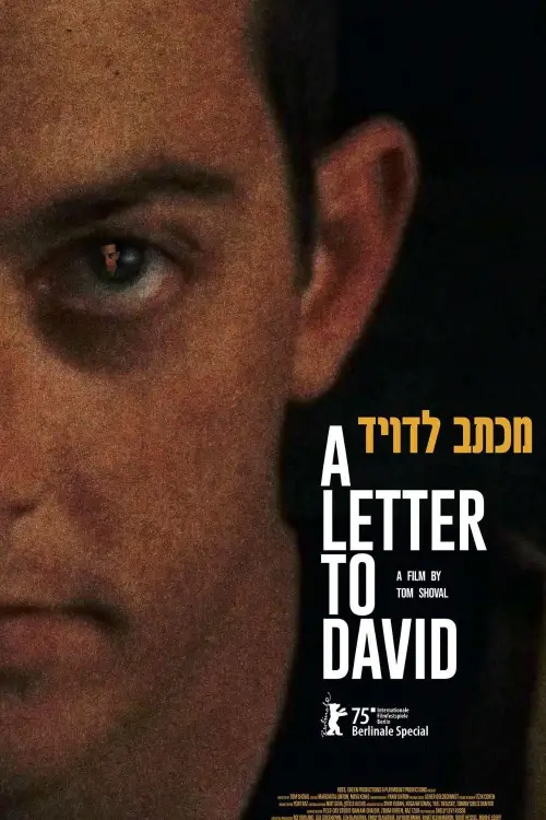 Постер до фільму "A Letter to David"