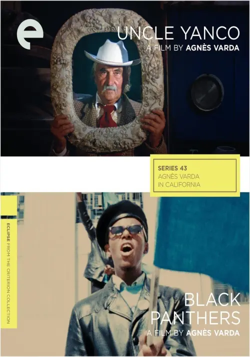 Постер до фільму "Black Panthers"