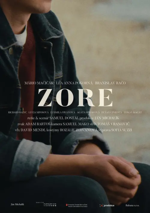 Постер до фільму "Zore"