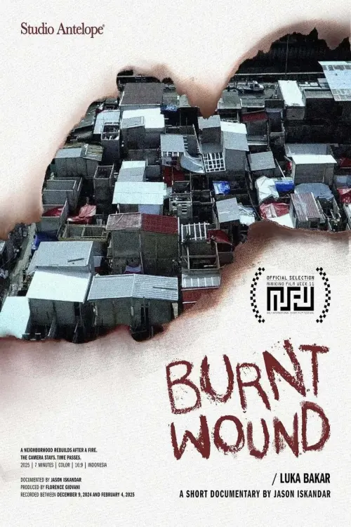 Постер до фільму "Burnt Wound"