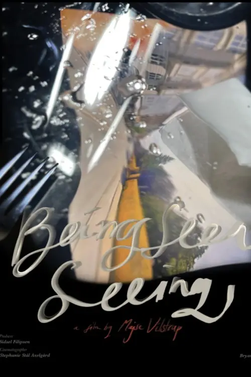 Постер до фільму "Being Seen Seeing"