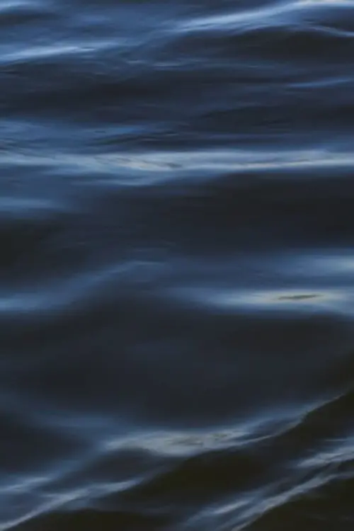 Постер до фільму "The Flood"