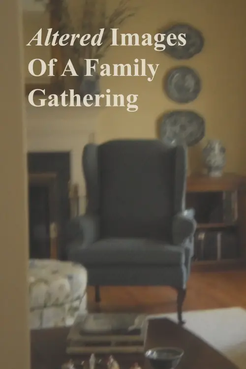 Постер до фільму "Altered Images Of A Family Gathering"