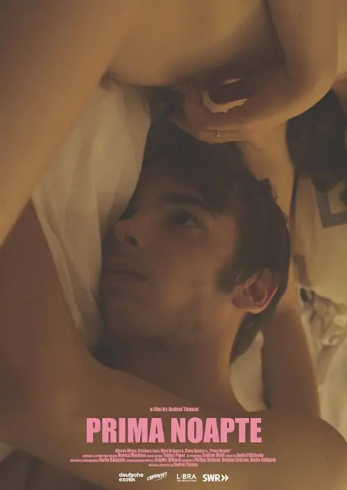 Постер до фільму "First Night"