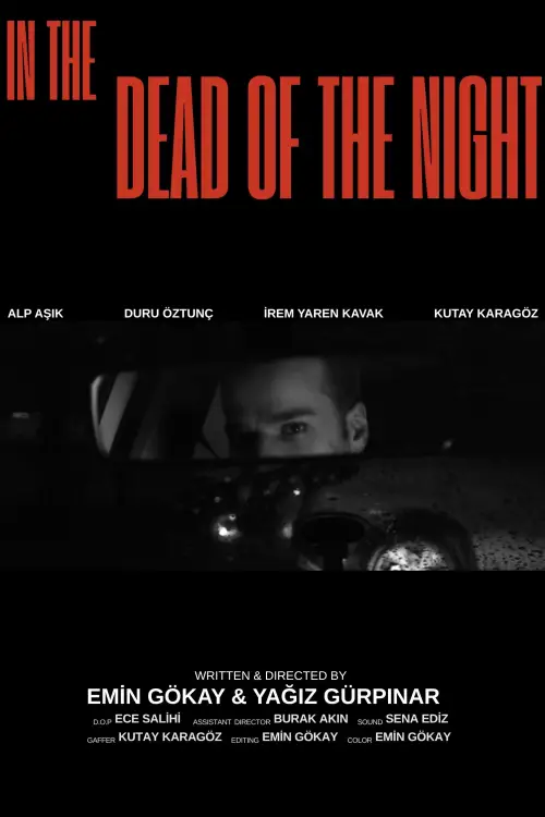 Постер до фільму "In the Dead of the Night"