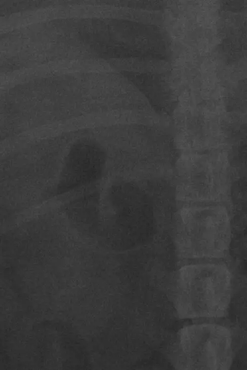 Постер до фільму "LA NOVIA DE MI AMIGO."