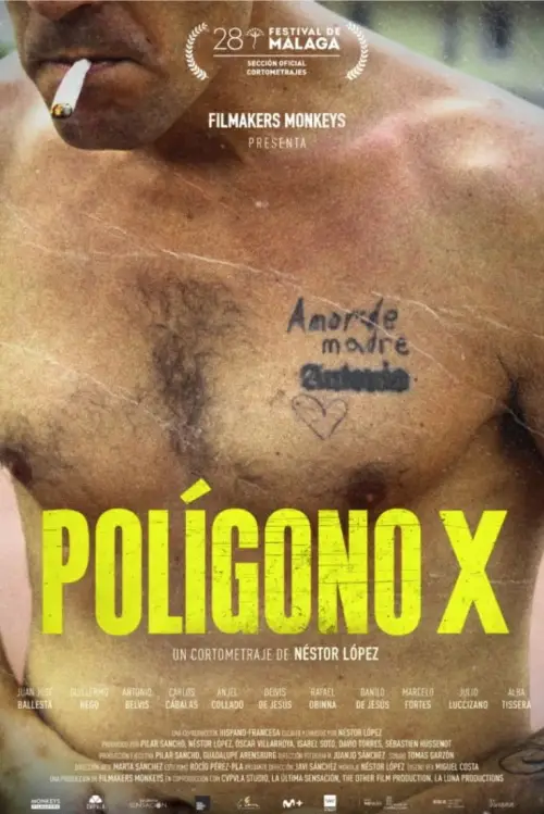 Постер до фільму "Polígono X"