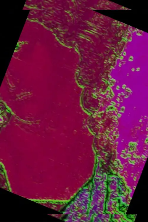 Постер до фільму "The Oneiric Cathedral"