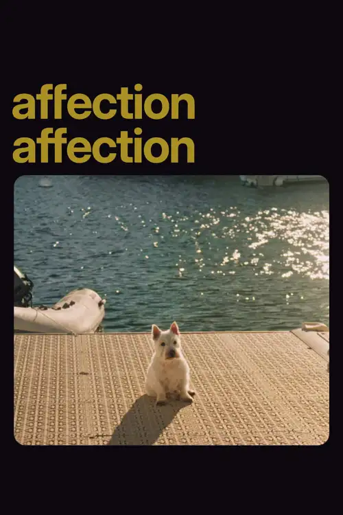 Постер до фільму "Affection Affection"