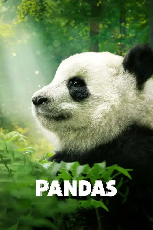 Постер до фільму "Pandas"