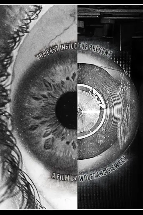 Постер до фільму "The Past Inside The Present"