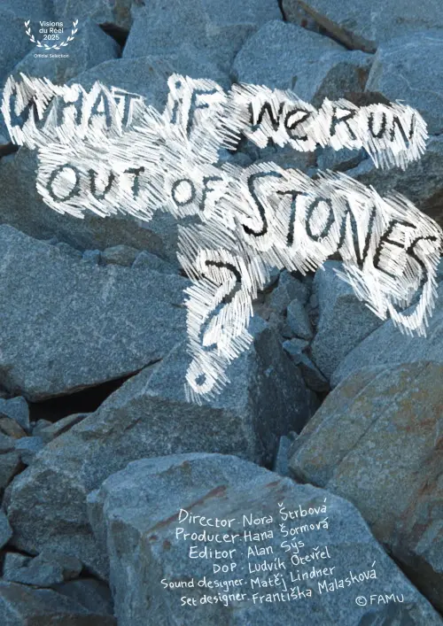 Постер до фільму "What If We Run Out of Stones?"