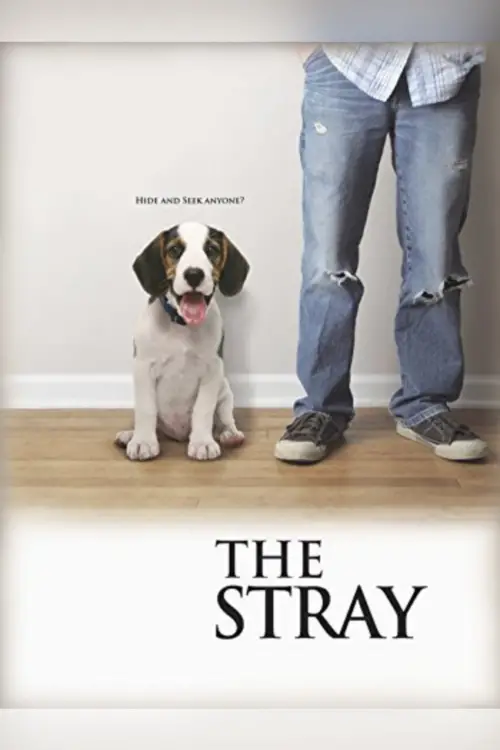 Постер до фільму "The Stray"