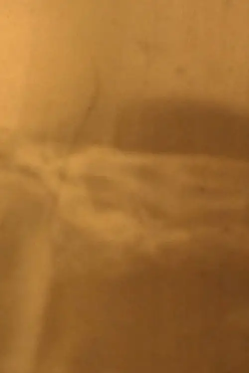 Постер до фільму "FOTOGRAFAR"