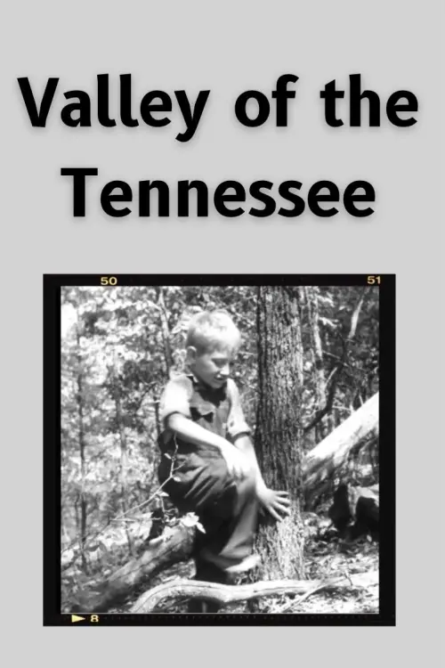 Постер до фільму "The Valley of the Tennessee"
