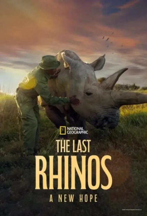 Постер до фільму "The Last Rhinos: A New Hope"