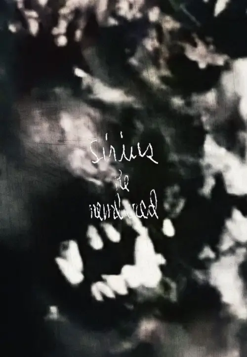 Постер до фільму "Пам’яті Сіріуса"