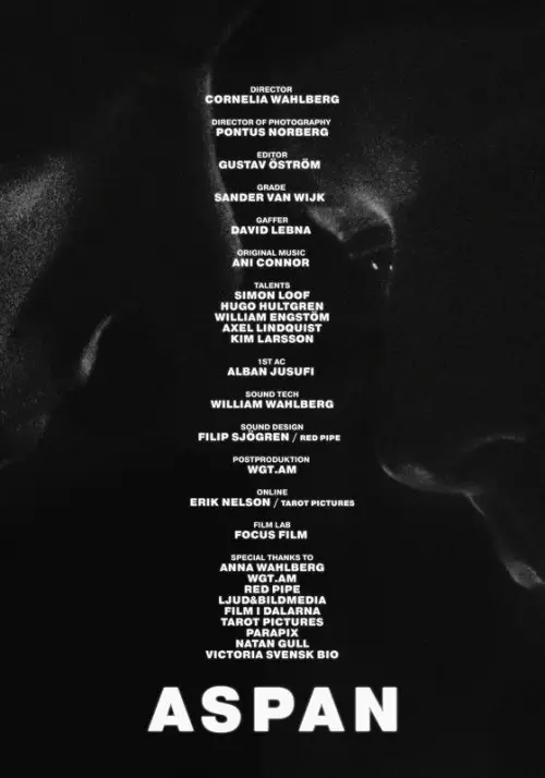 Постер до фільму "ASPAN"