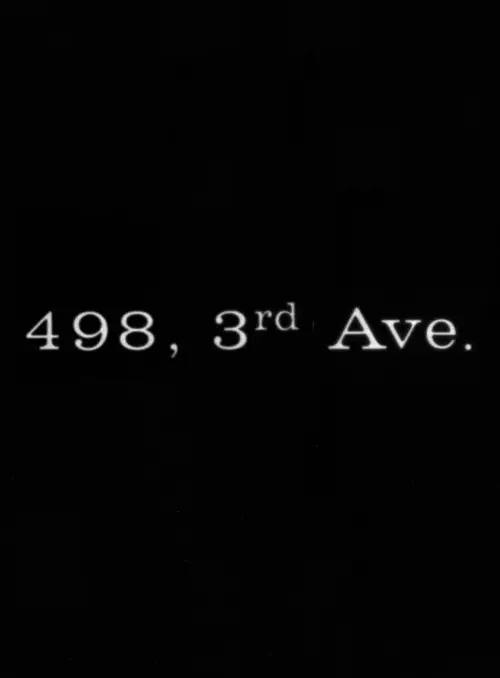 Постер до фільму "498 Third Avenue"