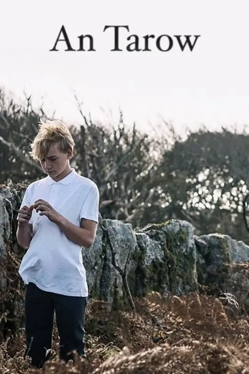 Постер до фільму "The Bull"